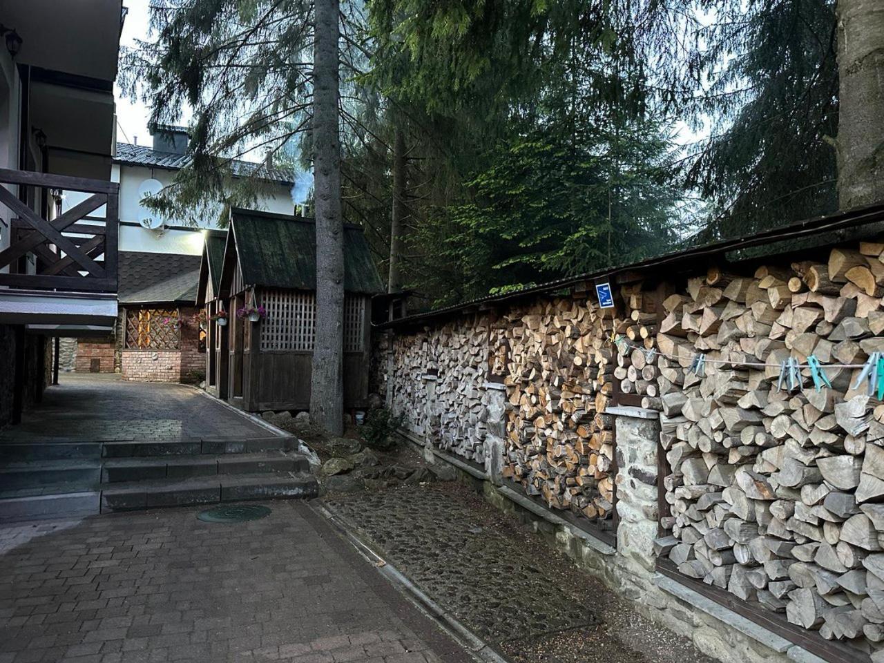 Alpiyskiy Yablunytsya Exterior photo